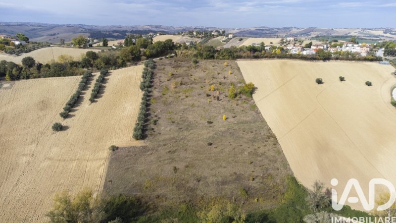 Terrain agricole à Filottrano