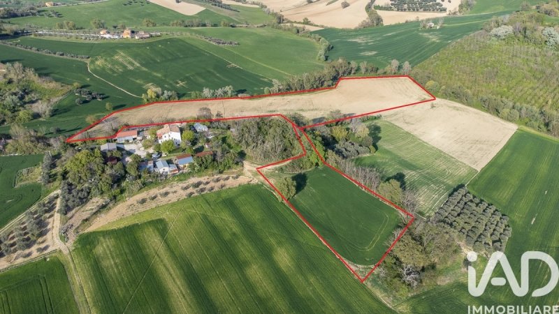 Terreno agrícola em Jesi