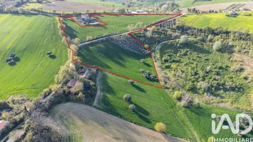 Terreno agrícola en Jesi