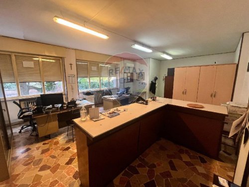 费拉拉商业房产