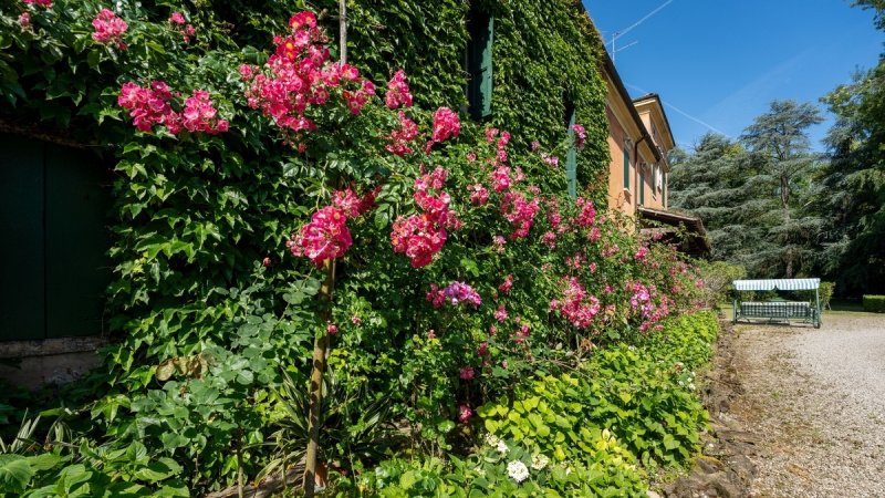 Casa histórica em Formigine