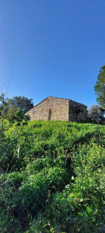 Landwirtschaftliche Fläche in Collesano