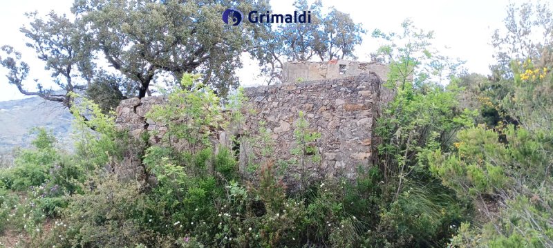 Terreno para construção em Gratteri