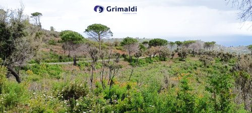 Terreno para construção em Gratteri