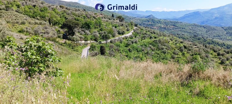 Строительный участок в Петтинео