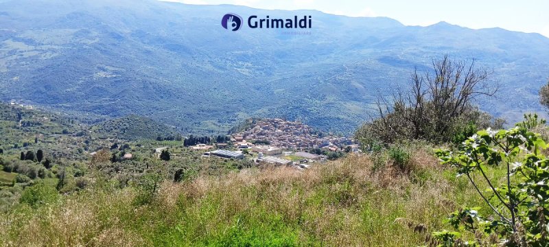 Строительный участок в Петтинео