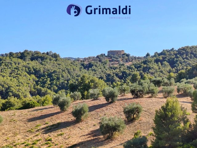 Terreno edificabile a Montegiordano