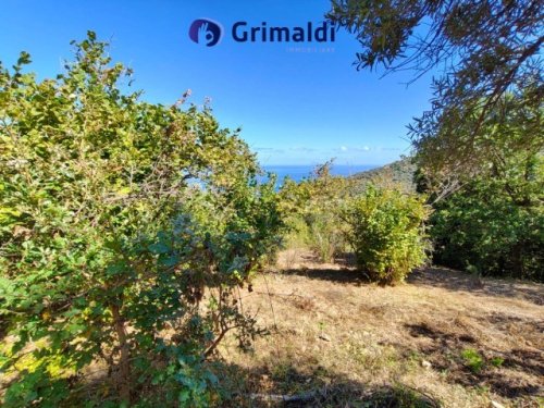 Byggtomt i Motta d'Affermo