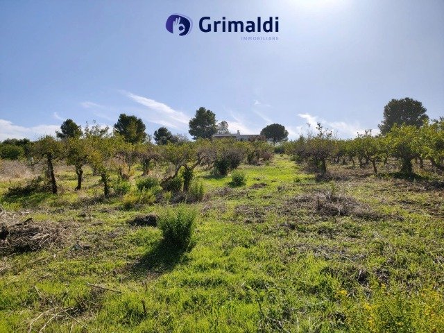 Agricultural land in Casteldaccia
