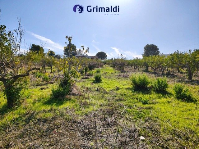 Agricultural land in Casteldaccia