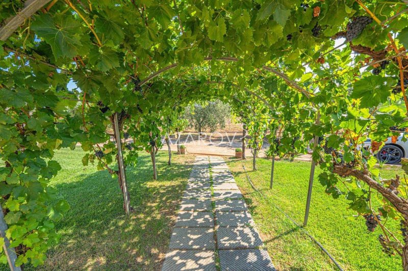 Villa in Montalto di Castro