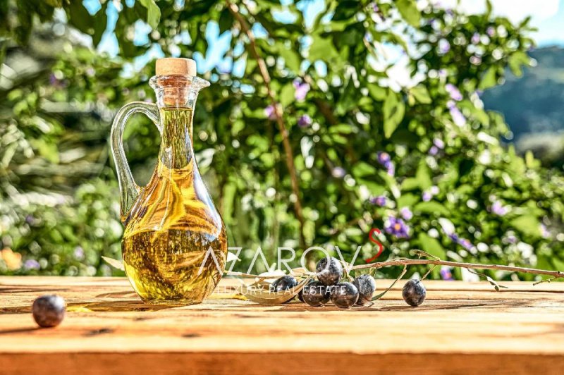 Agrotourisme à Badalucco