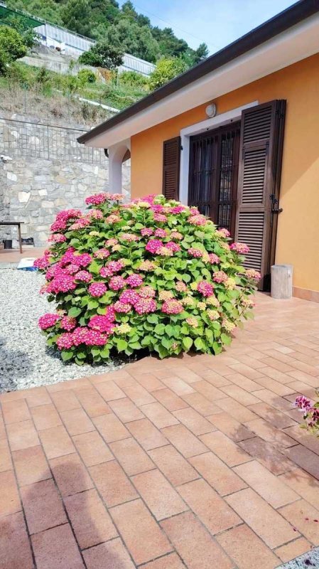 Casa indipendente a Camporosso