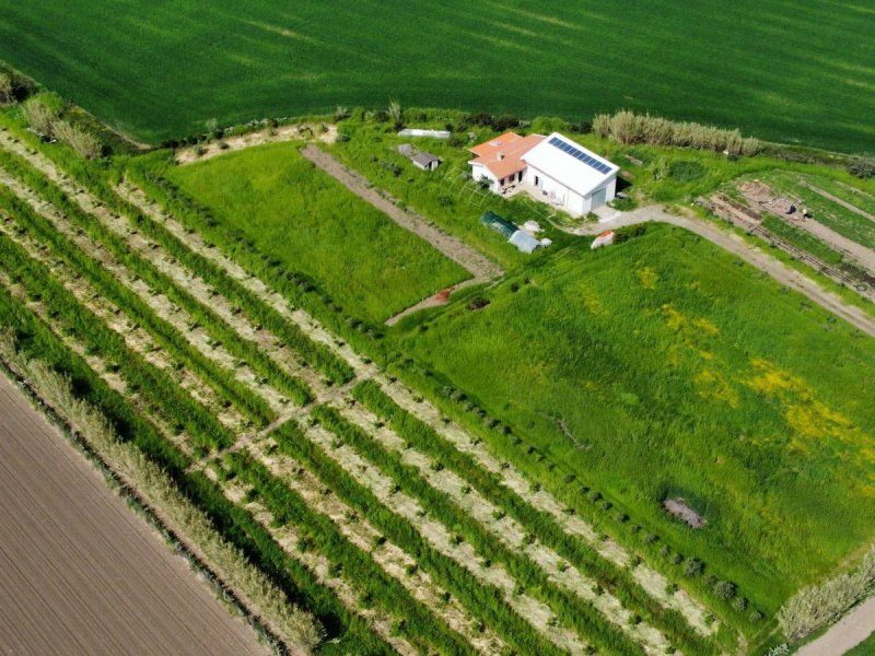 Landwirtschaftlicher Betrieb in Oristano