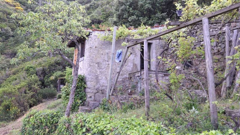 Top-to-bottom house in Riomaggiore