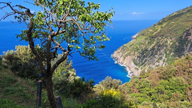 Cielo/Tierra en Riomaggiore