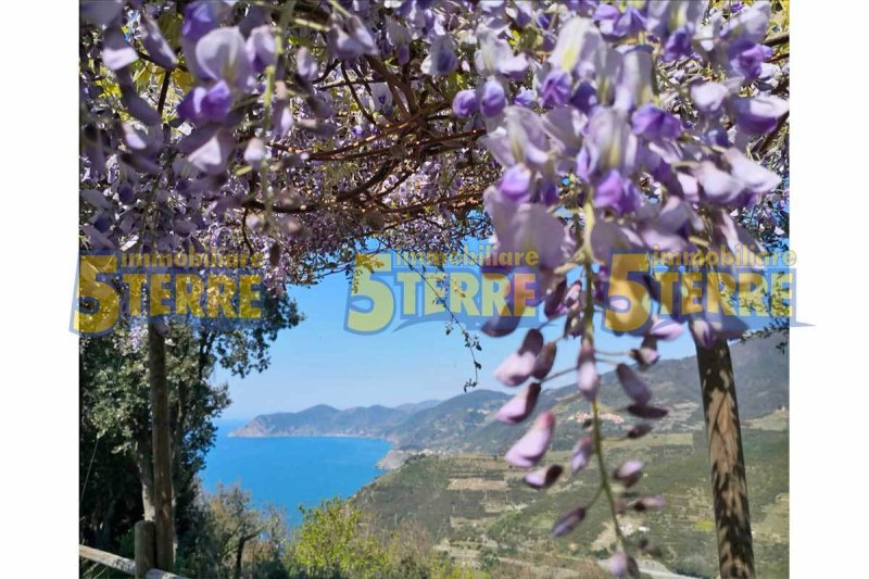 Шале в Риомаджоре