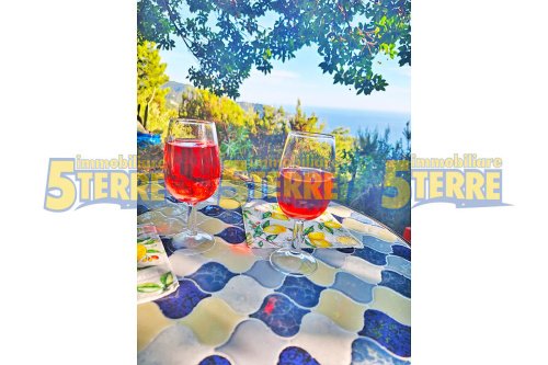 Шале в Риомаджоре