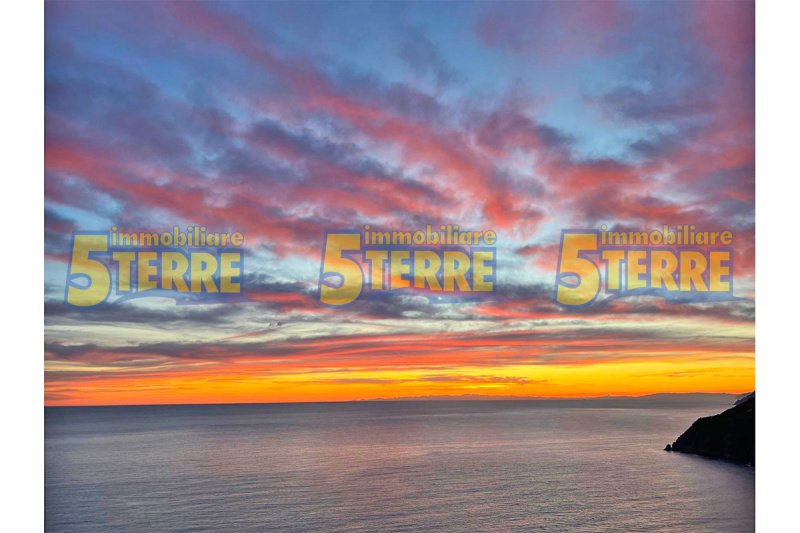 Top-to-bottom house in Riomaggiore