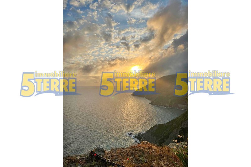 Top-to-bottom house in Riomaggiore