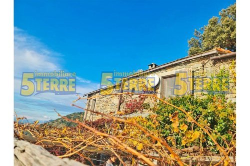 Lantställe i Riomaggiore