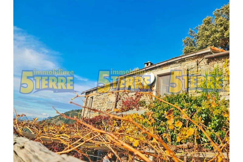 Отдельно стоящий дом в Риомаджоре