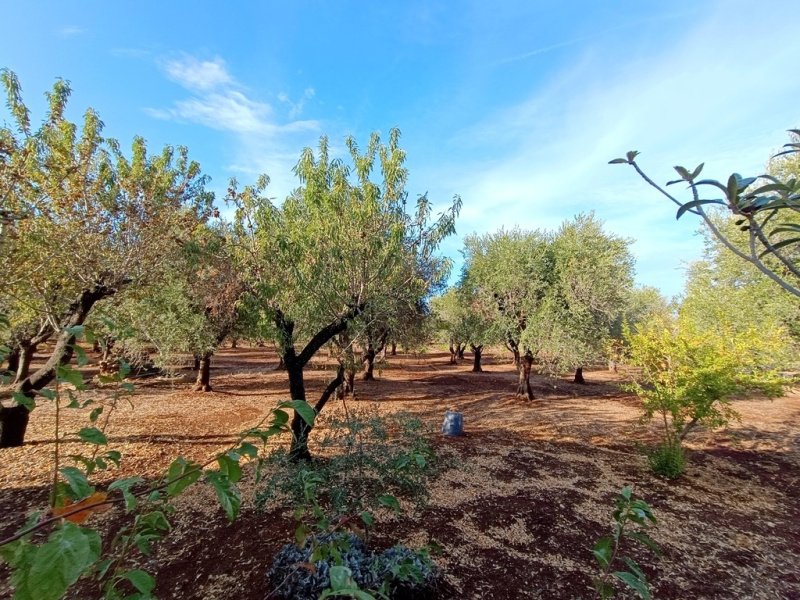 Villa à Ostuni