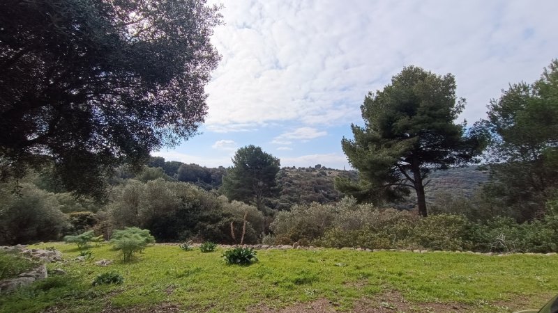 Villa in Ostuni