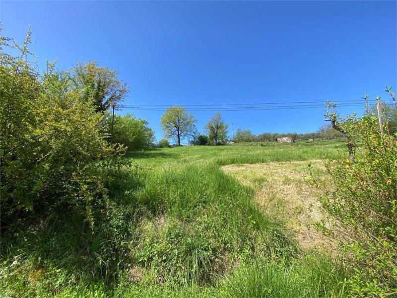 Maison individuelle à Gallinaro