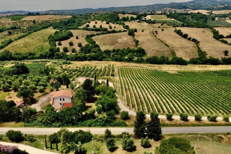 Maison à Scansano