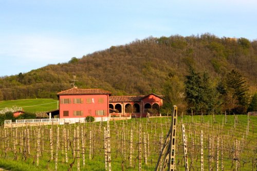 Lantgård i Rivanazzano Terme