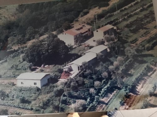 Ферма в Фивиццано