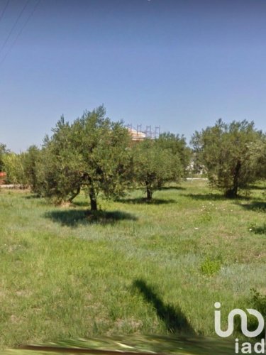 Building plot in Ortona
