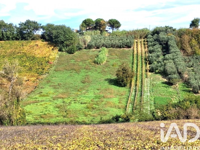 Jordbruksmark i Francavilla al Mare