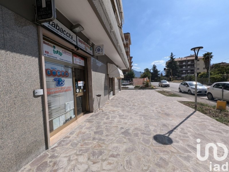 Commercial property in Sulmona