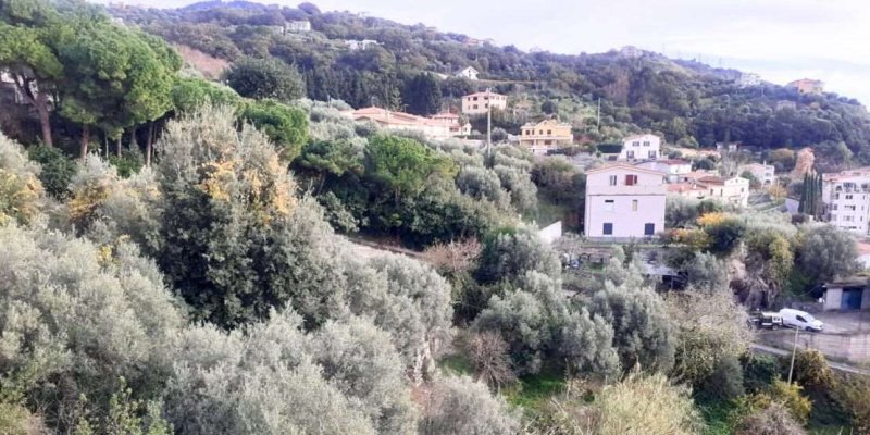 Casa en Cetraro