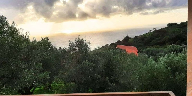 Einfamilienhaus in Acquappesa