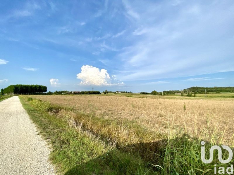 Landwirtschaftliche Fläche in Monzambano