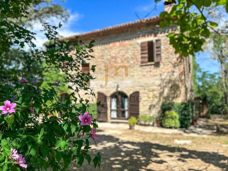 Solar em Urbino
