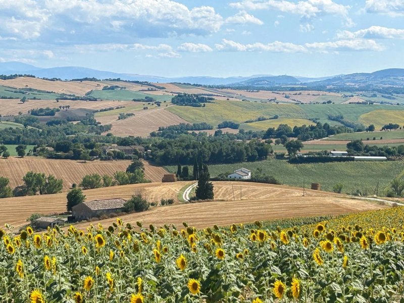 Отдельно стоящий дом в Филоттрано