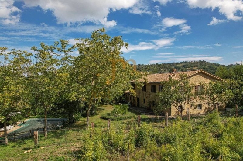 Lantställe i Serra San Quirico