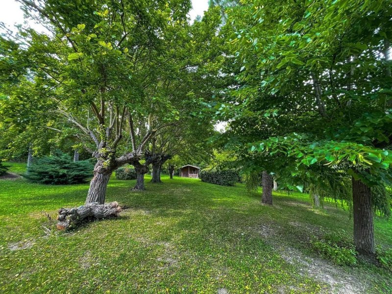 费尔米尼亚诺别墅