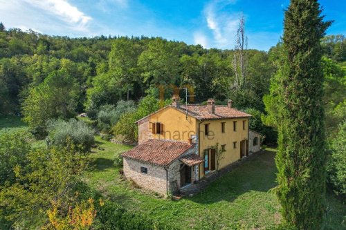Casolare a Montefelcino