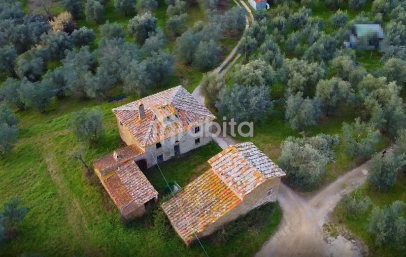 Farmhouse in Montevarchi