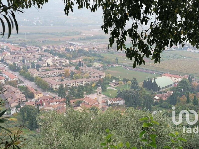 Terreno agrícola em Verona