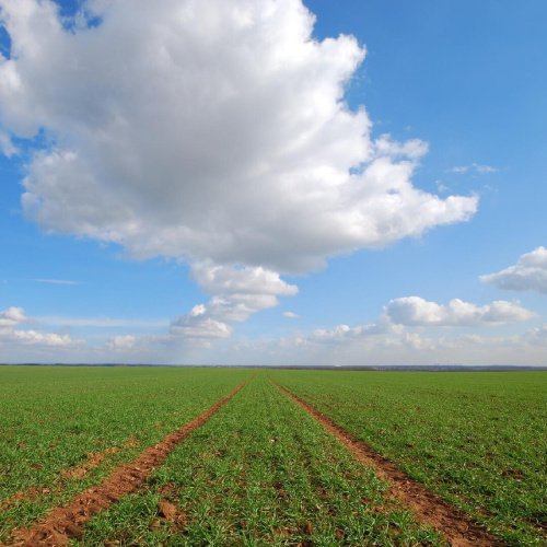 Terreno para construção em Trevignano