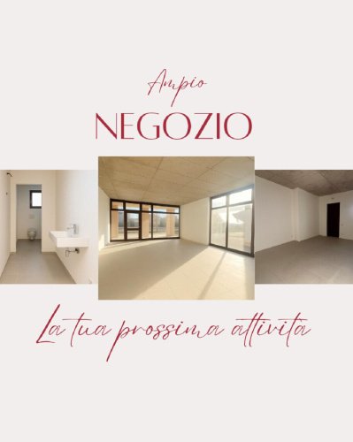 韦代拉戈商业房产