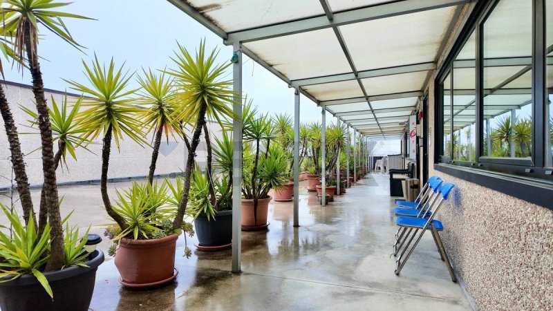 Коммерческая недвижимость в Фальконара-Мариттима