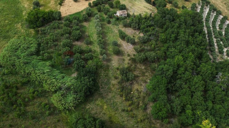 Casa de campo en Cingoli