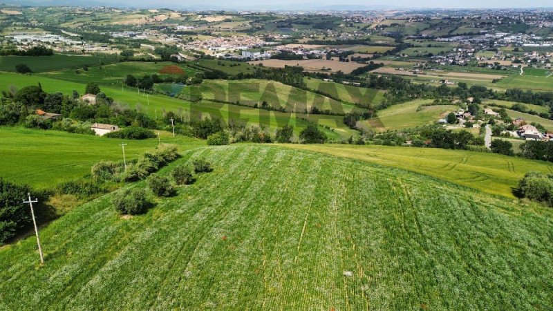 Building plot in Fermo